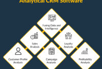 Leveraging CRM Analytics for Actionable Insights